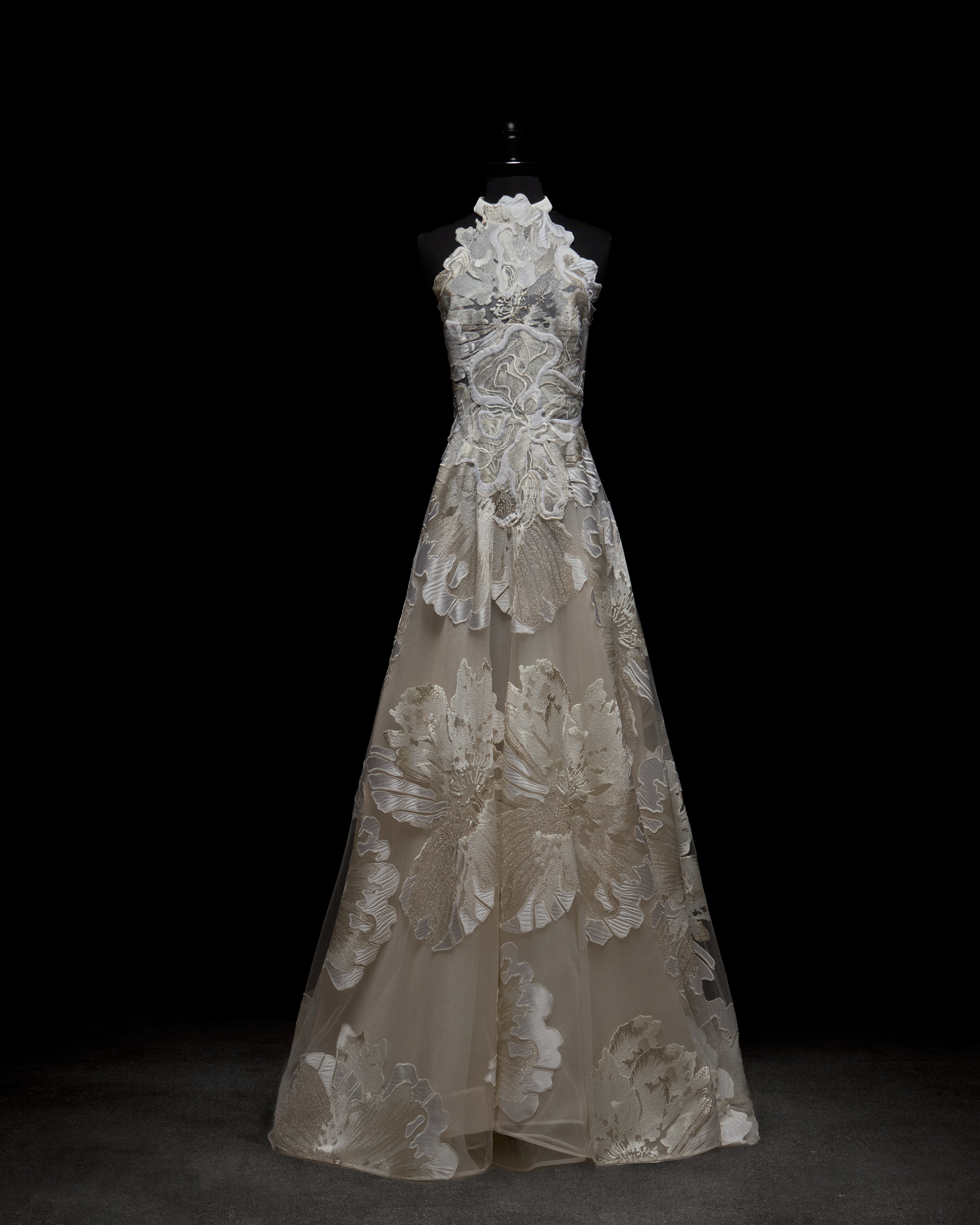 Elegant lace dress on a black background