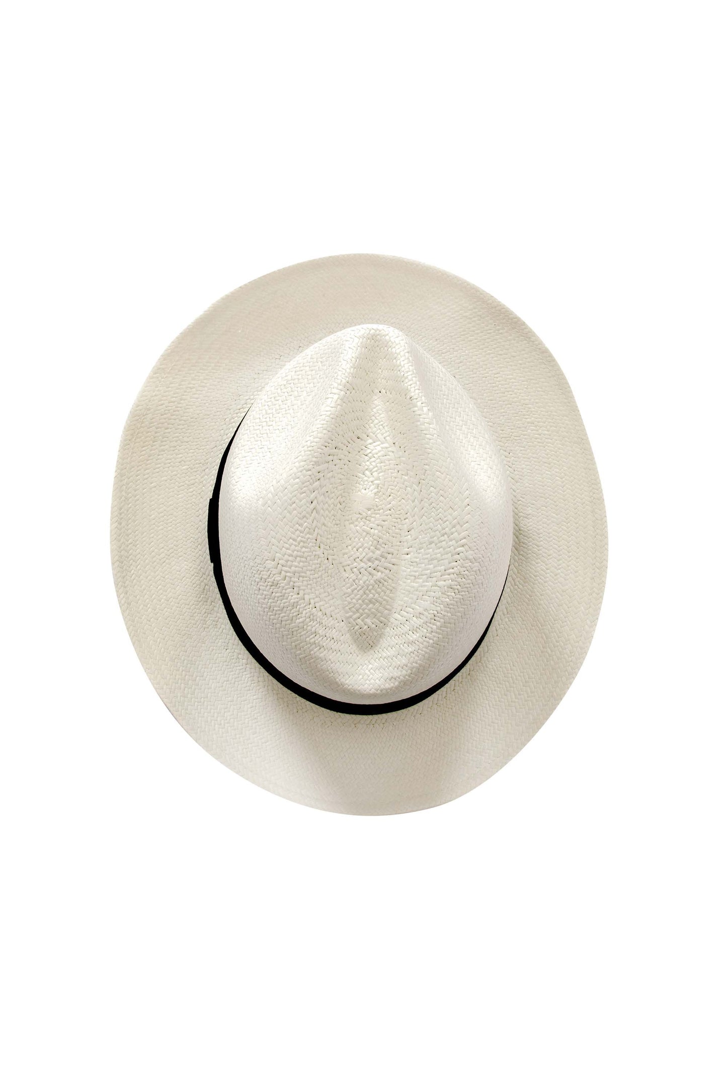 Roosevelt Hat Black with a black band, isolated on a white background.